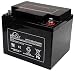 Produktbild Leoch LPC12–42 Blei-Säure-Batterie Deep Cycle 12 V 42 Ah [1] Pro-Serie (steht überprüft)