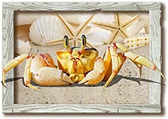 Creative 3D magic wall Stickers PVC bedroom living room fluorescent paste paper crab three-dimensional mural