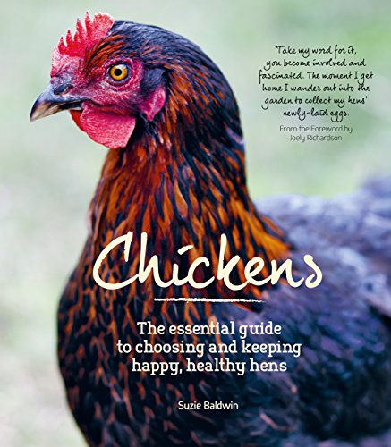 Chickens (English Edition) Chickens (English Edition)