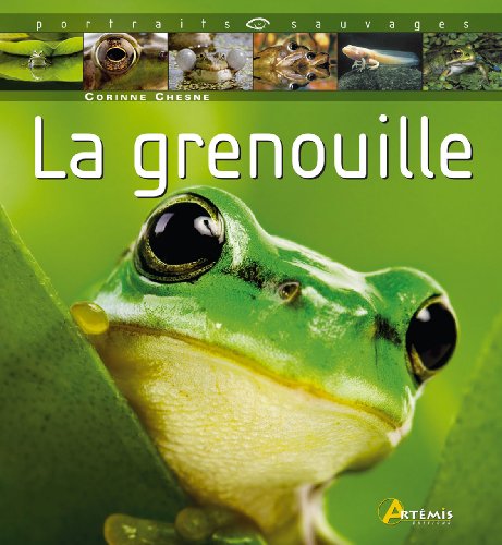 Télécharger GRENOUILLE Livre eBook France