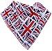 Bibbles Bandana Bibs - Fly The Flag Single Bib