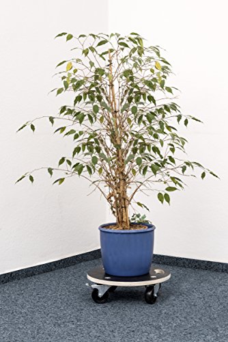 Meister Transportroller Ø 380 mm, 200 kg, Siebdruck, PA, Feststeller, 822040 - 6