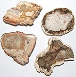 Ideal als Deko, Geschenk oder zum Sammeln.