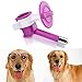 Produktbild qind tragbar Pet Wasser Flasche, PET Supplies Wasser Spender Trinkflasche, Hund Selbsttränke Aufhängung Wasser Flasche, Kaninchen Katze Welpen Brunnen Flasche Anleger Halterung, Wie abgebildet, random color