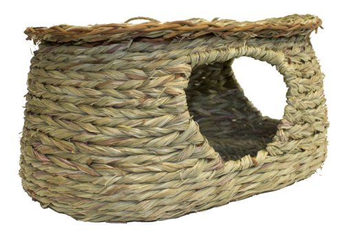 Living World Green Vida Mundo Verde Reed cabaña Guinea Pig Casa