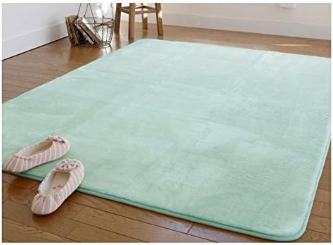 BIUCPLLL Area rug minimalist living room coffee table carpets padded bed bedroom blanket bay window blanket machine washable carpet-E 120x170cm(47x67inch)