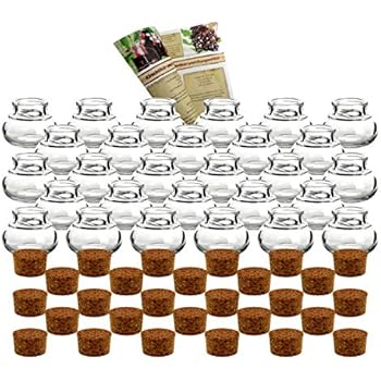 GoMaihe Barattoli Spezie 25 Pcs, Barattoli Vetro, Contenitori Spezie da