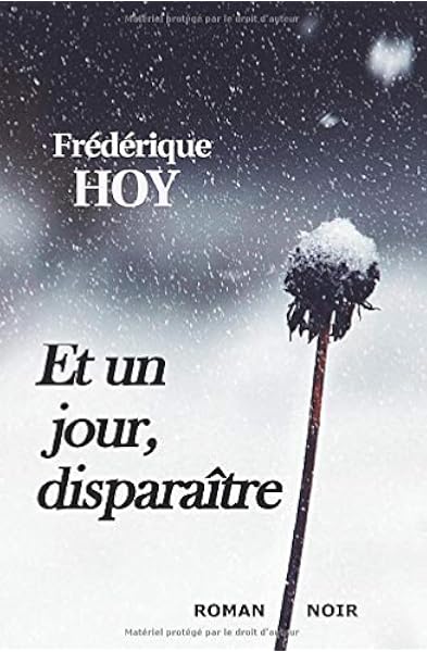 Et Un Jour Disparaitre Amazon Fr Hoy Frederique Livres