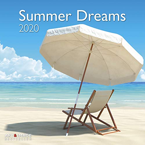 Télécharger Summer Dreams 2020 Broschürenkalender livre En ligne