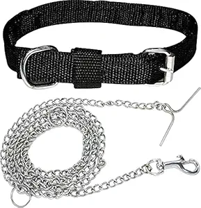 DCM PET Zone Dog Belt Combo of 3/4 inch Black Dog Collar with Dog S Steel Chain Specially for Small Dogs & Puppies Under (8-13kg) Dogs Collar Chain