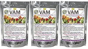 TSR Organic Fertilisers & Pesticides VAM Vesicular Arbuscular Mycorrhizal (400 + 400 + 400 Grams) 100% Organic bio Fertilizer granules for Stronger Root Development