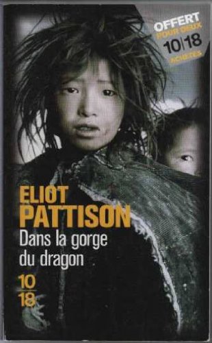 couverture de : Dans la gorge du dragon