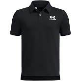 Under Armour UA B Icon Polo Moda > Erkek > Kıyafet > &Uuml;st ve Tiş&ouml;rt > Tiş&ouml;rt Erkek