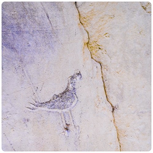 3dRose3dRose mp_92803_1 8 x 8-Inch Nm, Chaco Culture Park, Chaco Canyon Petroglyph - Us32 Jwi0240 - Jamie and Judy Wild Mouse Pad