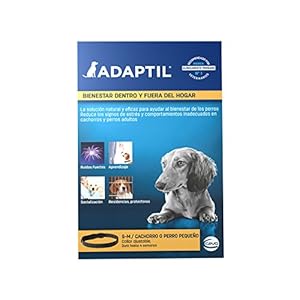 ADAPTIL Calm – Antiestrés para perros – Miedos, Ruidos Fuertes, Aprendizaje, Adopción – Collar S para Perros Pequeños