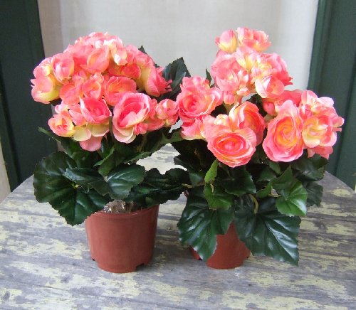 Künstliche Begonien im Topf, 2 Stück mit rot-gelben Blüten