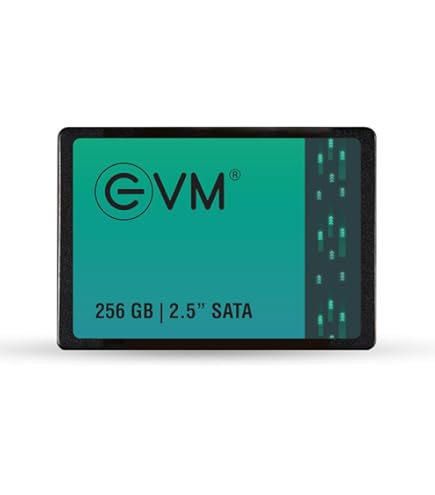 Amazon.in: Buy SAMSUNG 870 EVO 2TB 2.5' SATA III 6GB/s SSD