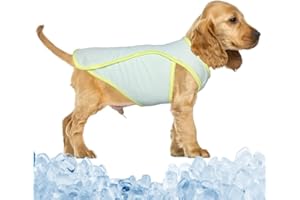 PetSmiler Maglia Refrigerante Cane - Maglia Rinfrescante Cane Asciugatura Rapida Maglietta Refrigerante Cane Elastica Maglia Estiva Cane per Cani Piccola e Media Taglia, Verde XXL