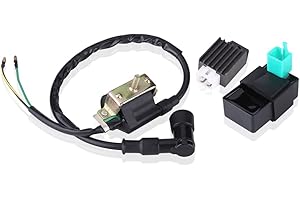 Gorgeri Bobina de encendido de la motocicleta con CDI Box & Regulator Rectificador,Bobina de encendido del motor para 110CC 125CC 140CC PIT PRO Bicicletas Dirt Bike Quad ATV