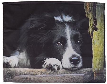 LUXURY BLACK WHITE BORDER COLLIE SHEEP DOG SUPERSOFT FLEECE SHERPA THROW BLANKET 120 X 150CM