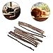 Produktbild Wanfor ber1177 Cat Stick Natur Matatabi Kauen, Zähneputzen, Molar Dental Katzenminze Sticks für Health Care Silvervine Spielzeug für Haustier Katzen Kätzchen, 10–12 cm (10–12 cm)