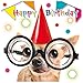 Produktbild Susy Card 40010632 Geburtstagskarte"Hund mit brille", Maße: 15 x 0, 2 cm
