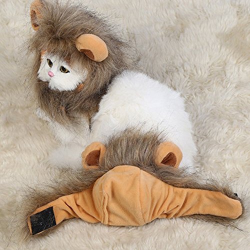 Preisvergleich Produktbild Running Pet Haustier Katzen Hundekostüm Löwenmähne Löwe Mähne Perücke für Hunde Hundeausstellung Fest Fasching Dog Show Kostüm