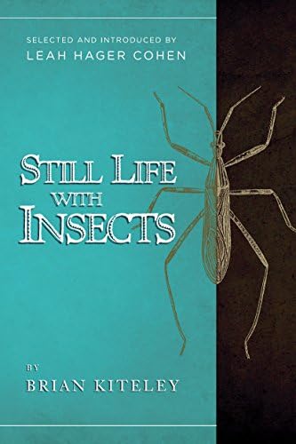 Still Life with Insects