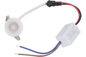 LUQEEG LED Recessed Ceiling Light, Mini Recessed Spot Light, Round Shape Professional Recessed Lighting Trims in Ground Well Light for Indoor Cabinets, Display Cabinets, Storage Rooms (Warm White Light