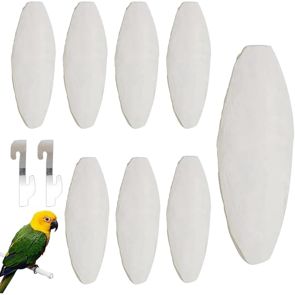 Os De Seiche Pour Oiseaux Et Reptiles - Lot De 10 (8-10 Cm) - Complément Calcium Naturel, Jouet à Mâcher
