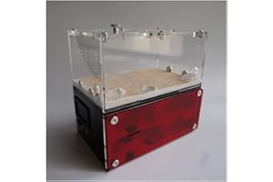 BLUVLY Ameisenfarm Ameisenfarm Aus Beton, Ameisennest Mit Fressplatz, Große Flache Ameisenfarm, Großes Ameisenhaus Und Werkstattschloss 15 X 13,5 X 10cm