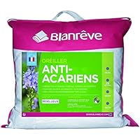 Blanrêve Blanrêve – Juego de 2 Almohadas Antiácaros mullidas DE 60 x 60 cm