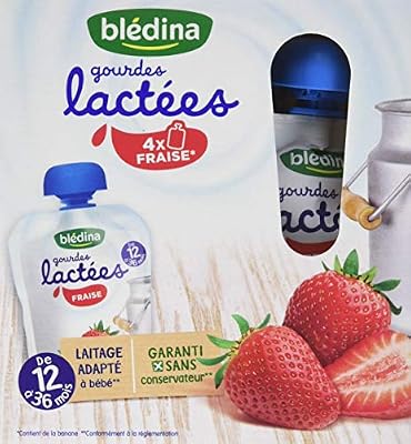 Blédina Gourdes Lactées Fraise Desserts Mixtes 2,04 kg - Pack de 6