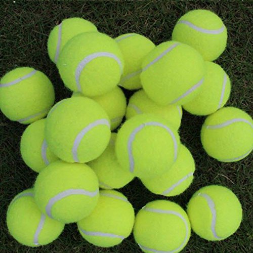 3x Westeng Lacrosse Ball Massage Mobilität Rehabilitation Physiotherapie - 8