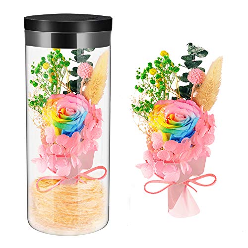 HQQNUO, Rosa con Luce LED, Bottiglia di Vetro, Regalo di San Valentino, Matrimonio, Natale, Anniversario, Regalo di Compleanno, Festa della Mamma