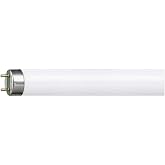 Philips Master TL-D 18W Snow Whıte Floresan Ampul