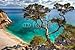 Produktbild Poster-Bild 140 x 90 cm: "alter Baum - Sardinien", Bild auf Poster