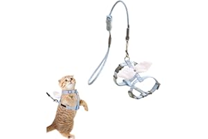 CEZKFH Katzengeschirr Mit Ieine Ausbruchsicher Himmelblau Schnürung Kitten Riemen Mit Gürtel Und Kragen Verstellbarer Brustgurt Mit Kordelzug Für Kleine Und Mittlere Katzen