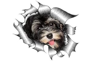 Sticar-it Ltd ZERRISSENES METALL Auto-aufkleber süß Havaneser Welpe Hund design Vinyl decal - Multi, Large 205x160mm approx