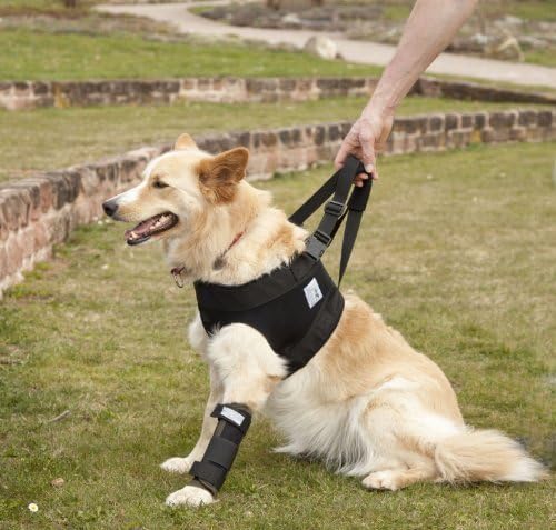 Medical Dog Front Carrier Harness (small)/ Helping Harness for Elderly Dogs / Dog Rehabilitation Aid