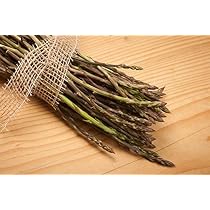 Wildspargel, Echter 20 Samen : Amazon.de: Garten