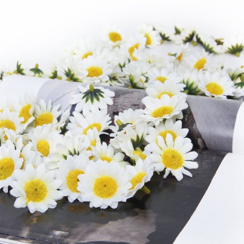 100x Künstliche Gerbera Blumen Köpfe für DIY Hochzeit (Weiß) - 5