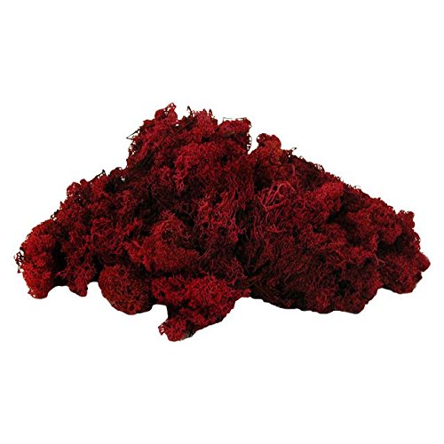 Finland Moss Deep Red 500g. for Hanging Baskets & Wreath Making