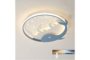 DUNMW Creux Dauphin LED Plafonnier Chambre d'Enfant Plafonnier Lustre pour Garçons et Filles Chambre, Chambre d'Enfants, Gradation en Continu, 15,9'', 28W