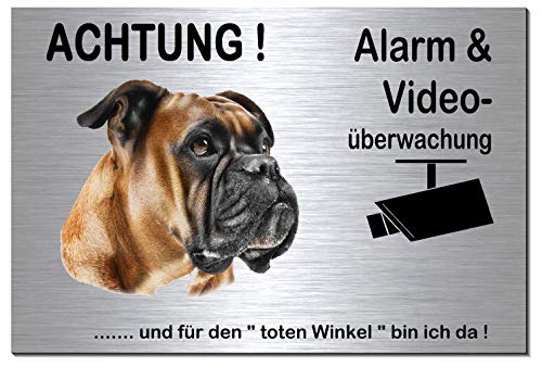 Preisvergleich Produktbild Boxer-Alarm-Video-Überwachung-Hund-S... Edelstahloptik-Hunde-Tierschild-Warns... 133-3 (133-3 silber 300 x 200 x 3 mm mit Löcher)
