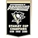 Produktbild Siegesserie WSS-78095 Pittsburgh Penguins NHL Dynasty Banner 24x36