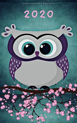 Télécharger 2020: Journal 2020 pour les enfants / adolescents - Une page par jour / Agenda / Écriture de journa Francais PDF