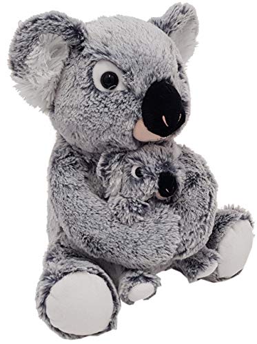247673 misanimo koala