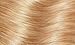 L'Oreal Excellence Age Perfect 8.31 Pure Beige Blonde Hair Dye