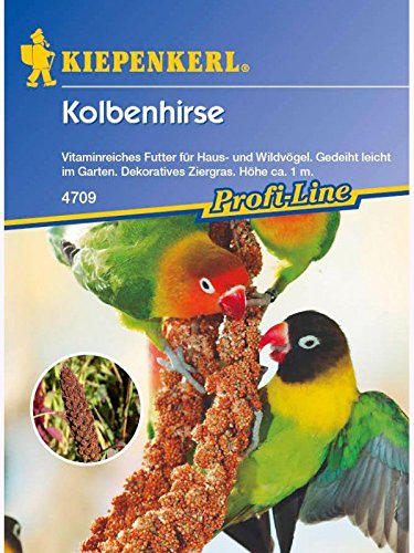 Kiepenkerl Kolbenhirse